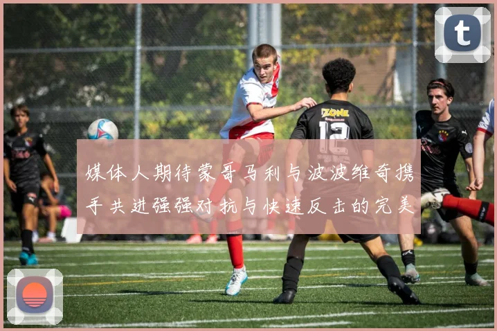 媒体人期待蒙哥马利与波波维奇携手共进强强对抗与快速反击的完美结合