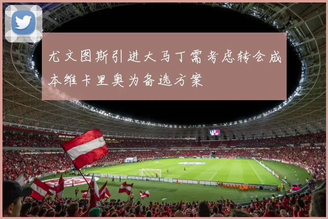 尤文图斯引进大马丁需考虑转会成本维卡里奥为备选方案